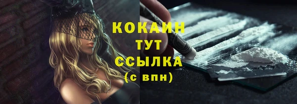 индика Белокуриха