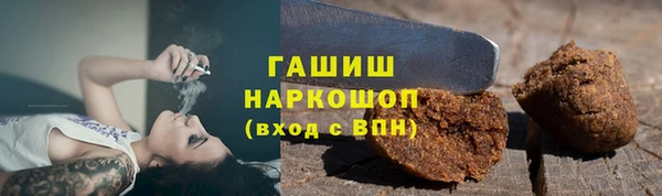 индика Белокуриха