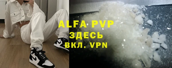 индика Белокуриха