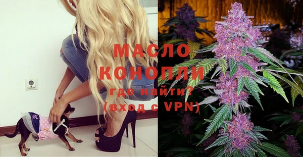 индика Белокуриха