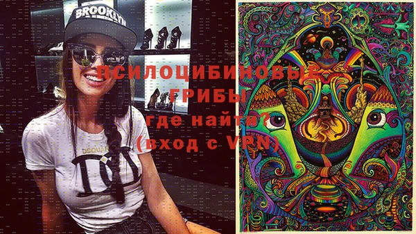 ПСИЛОЦИБИНОВЫЕ ГРИБЫ Белоозёрский