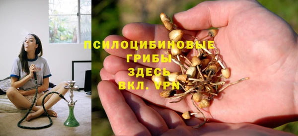 индика Белокуриха