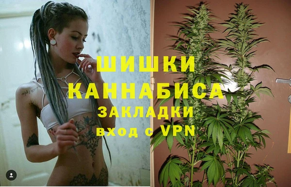 дживик Сосновоборск