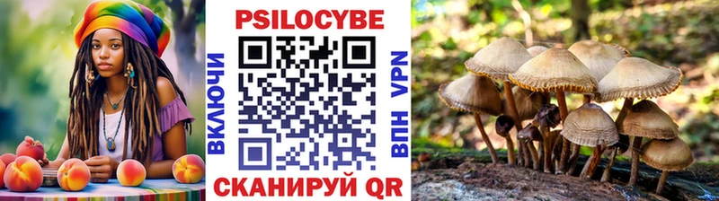 Галлюциногенные грибы GOLDEN TEACHER Волчанск
