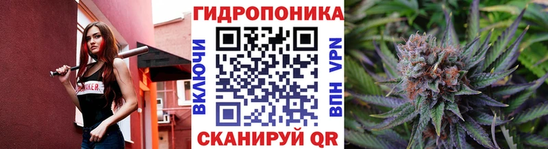 Шишки марихуана ГИДРОПОН  гидра ONION  Волчанск 